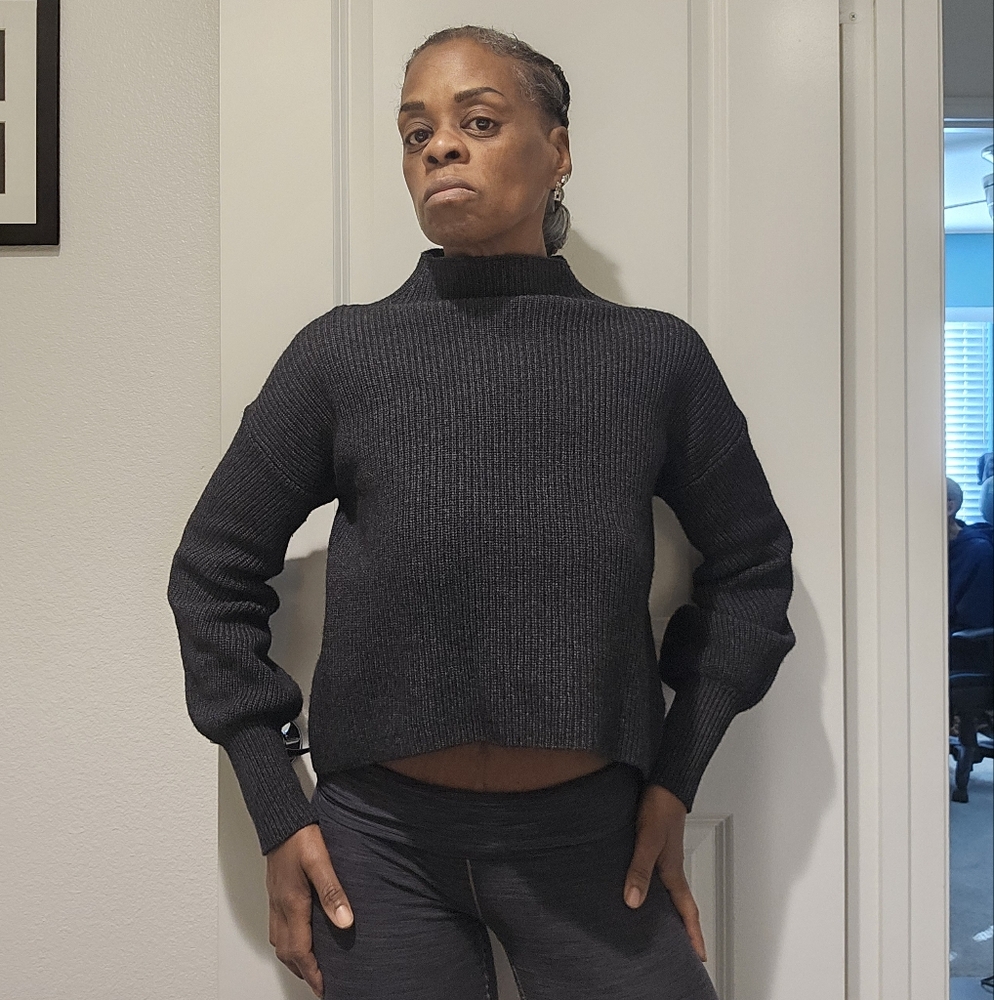 A.L.C. Lambswool Cashmere Viscose Blend Turtle Neck Cropped Knit Sweater #586